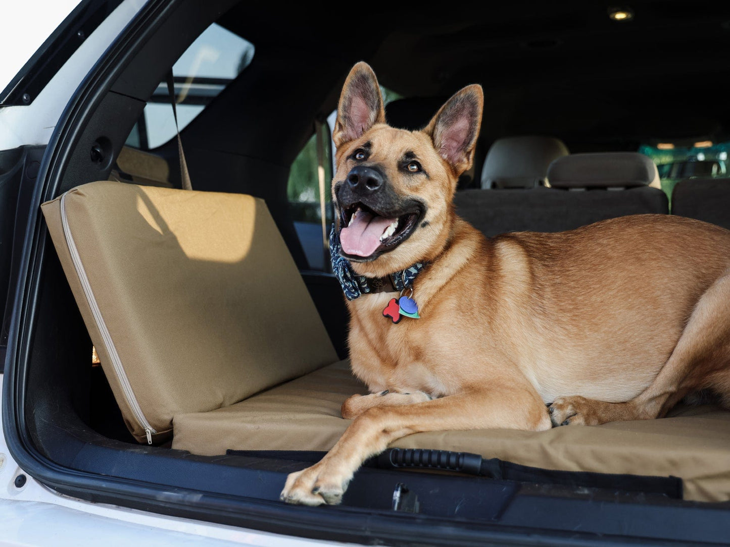 Fold-N-Go Travel Dog Bed